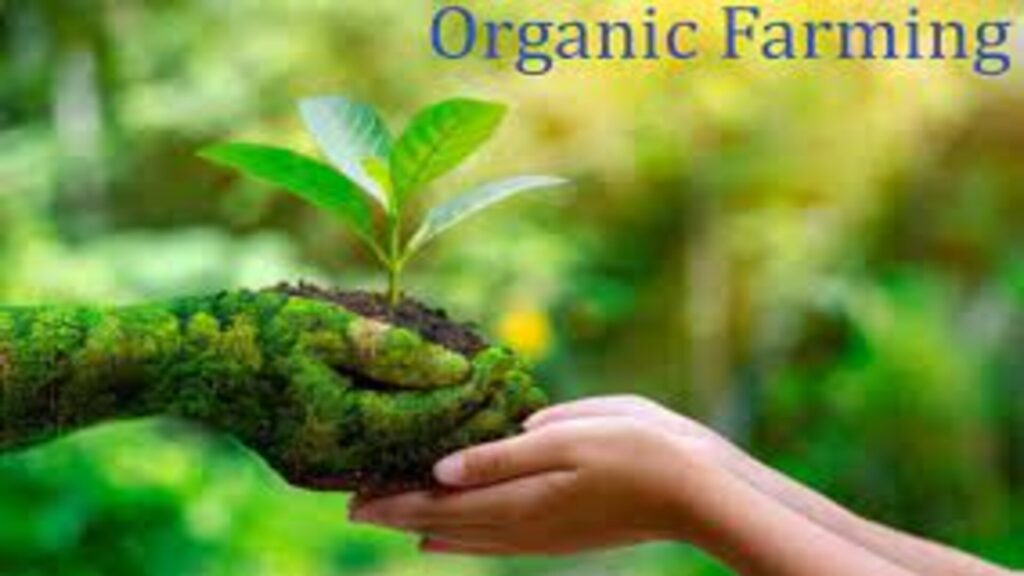 organic-farming