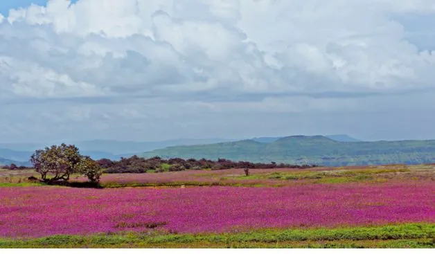 scenery of kaspathar