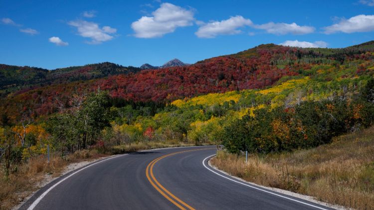 scenic road trips