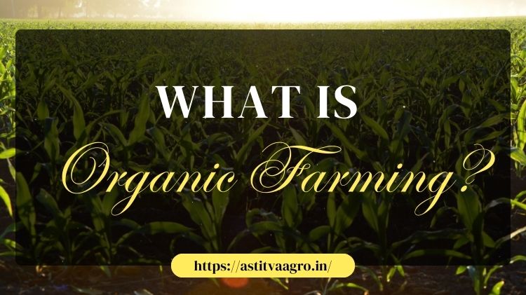 Organic Farming