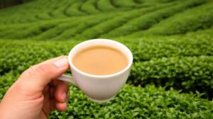 Jorhat – Exploring the Tea Capital of India